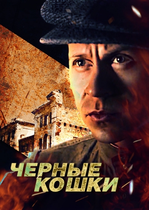 Чёрные кошки