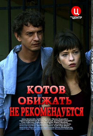 Котов обижать не рекомендуется